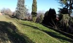 Un progetto per il recupero del frutteto del Parco di Villa Greppi