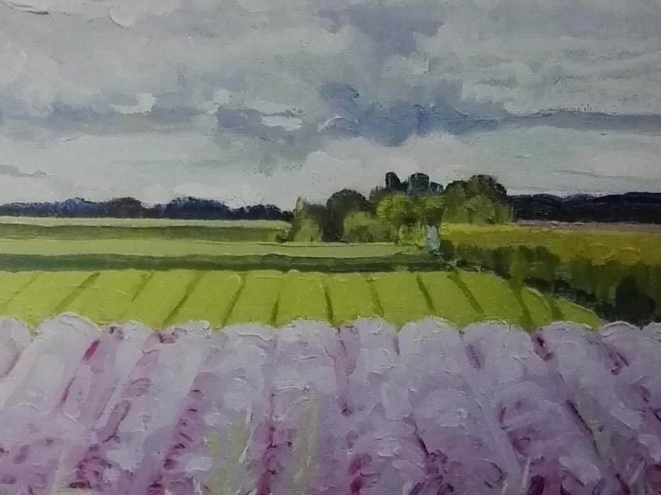 Inaugurazione mostra artistica a Brivio