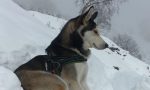 Cane salvato sul Monte Due Mani FOTO