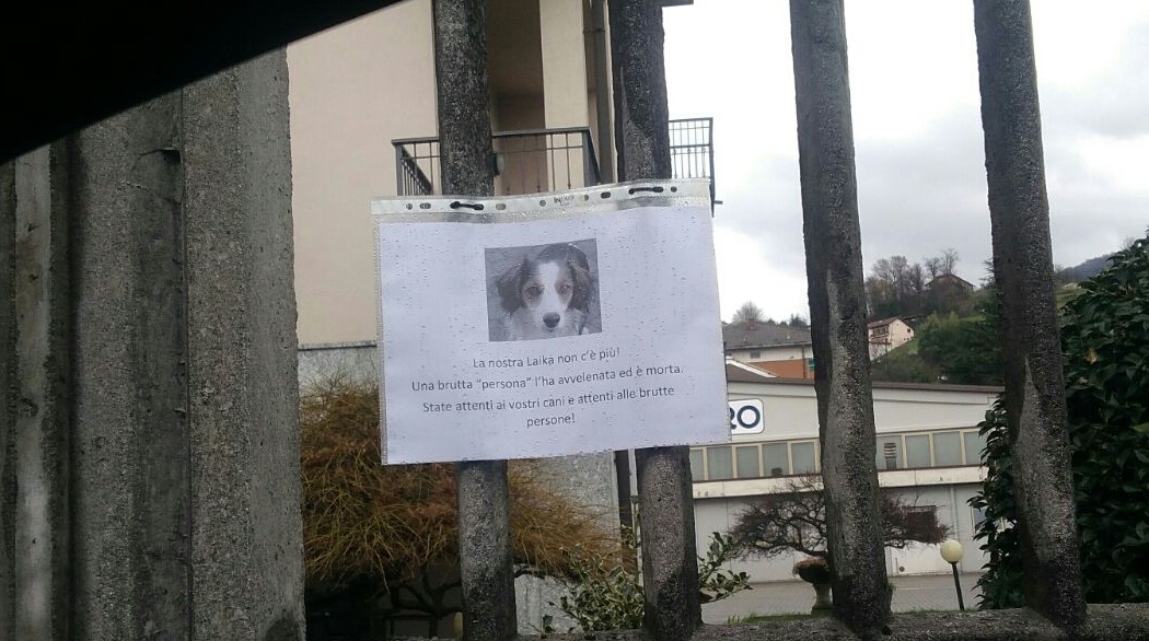 Cane avvelenato al Lazzaretto di Oggiono
