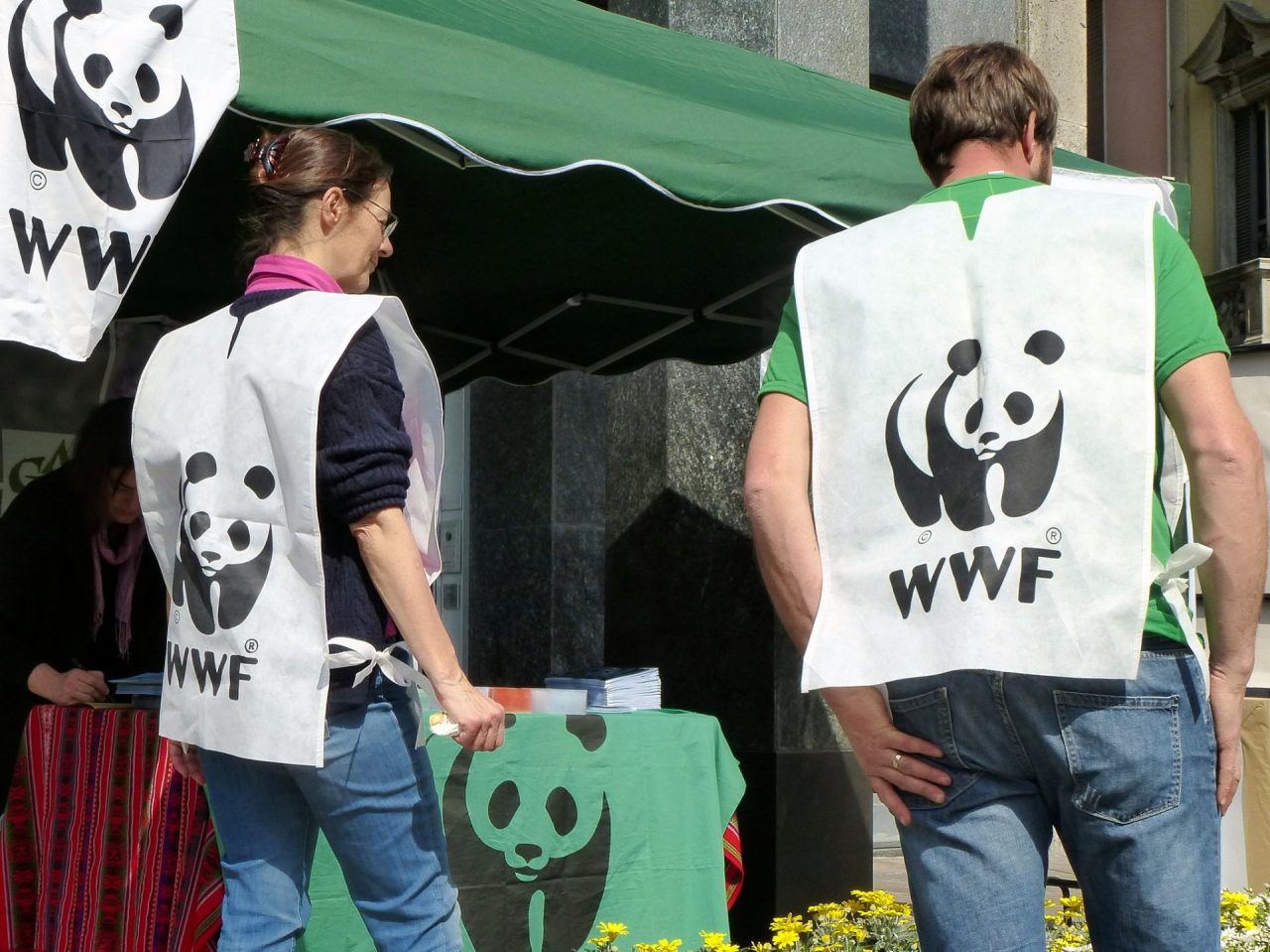 Parchi Regionali, WWF Lombardia: “Poche proposte per contrastare la perdita di biodiversità”