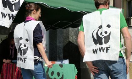 Earth Hour: WWF Lecco invita all’adesione i Comuni  del Lecchese