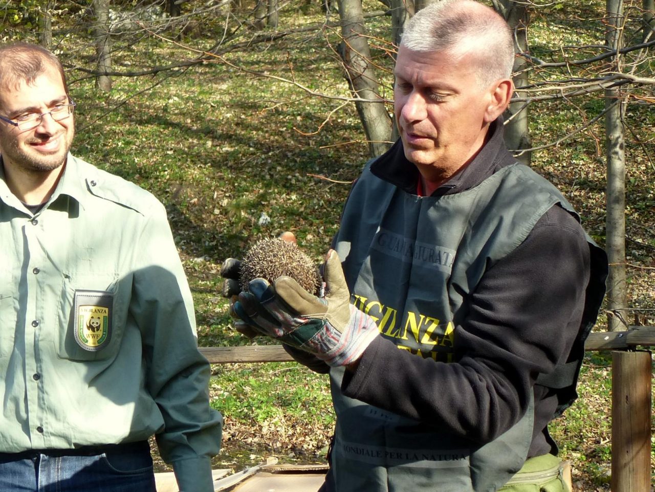 Come salvare un animale selvatico? Lo insegna il WWF Lecco