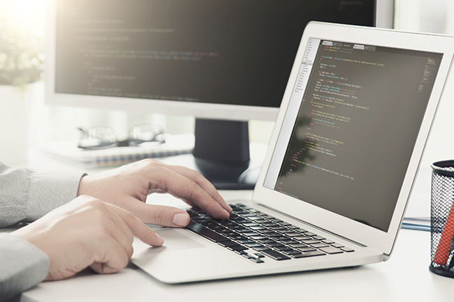Ricerca di personale: WordPress Specialist + programmatore Informatico Junior