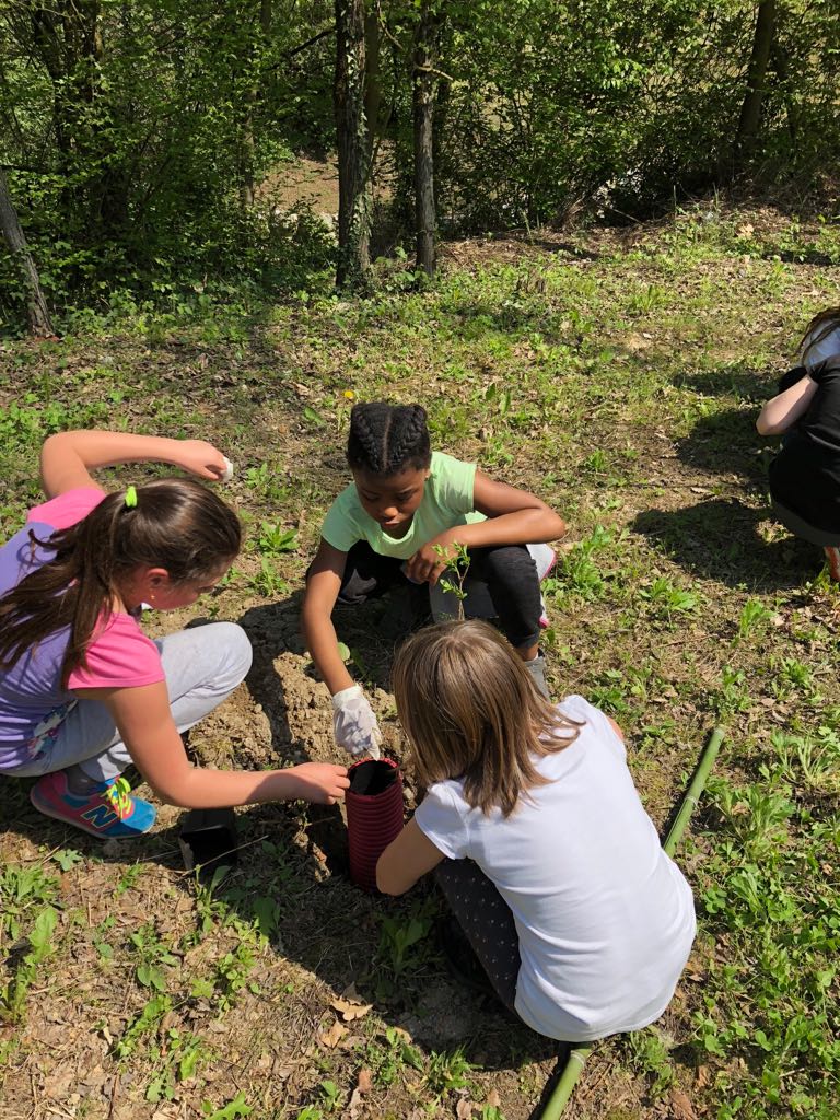 Festa dell’Albero, un gesto consapevole FOTO