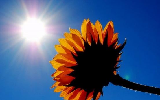 Con anticiclone Apollo  caldo estivo almeno fino a domenica PREVISIONI METEO