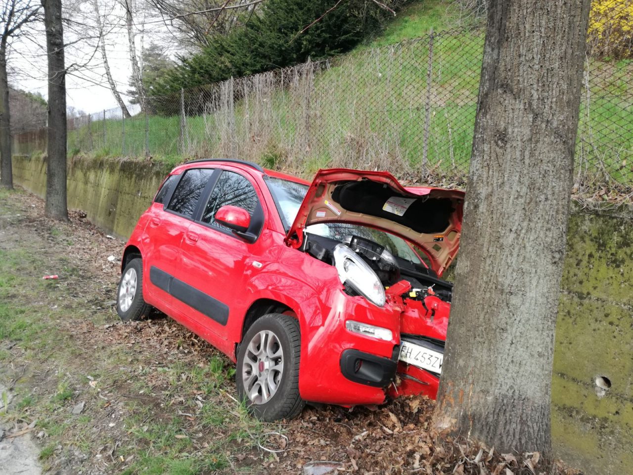 Incidente auto finisce contro un albero FOTO