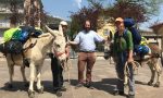 Con gli asini dalla Svezia, l'incredibile storia di una giovane coppia FOTO e VIDEO