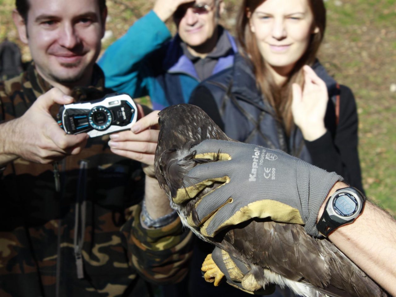 I volontari del WWF Lecco liberano un gufo reale VIDEO