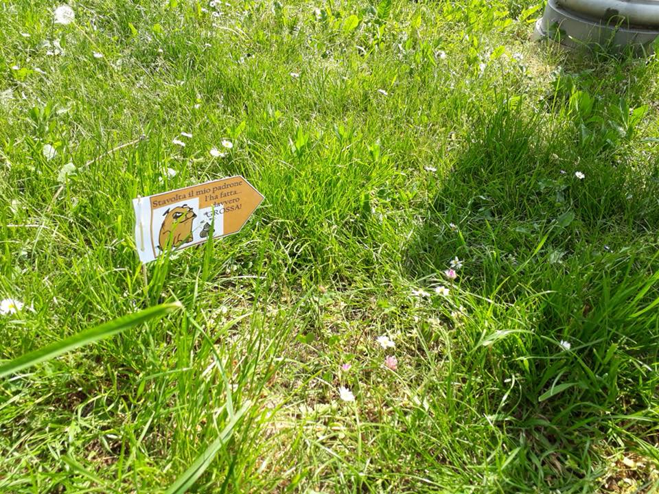 Una “cacca al tesoro” contro gli incivili FOTO