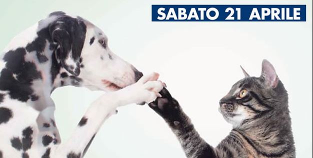 Diamogli una zampa: Esselunga in campo per gli animali