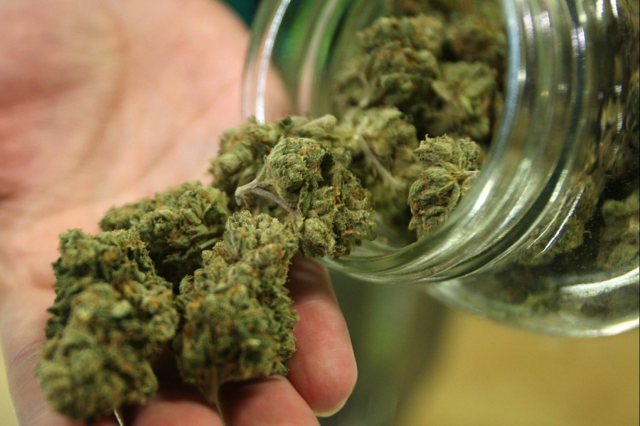 Cannabis legale nei supermercati del gruppo Lidl