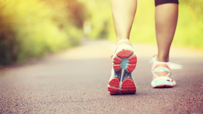 Camminare in compagnia con Teremocc e Avap
