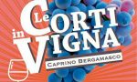 Corti in Vigna, degustazioni tra arte e sapori