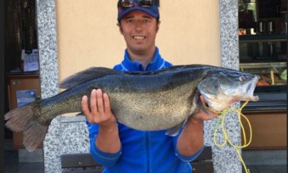 Pesca un luccio perca da 8,5 kg