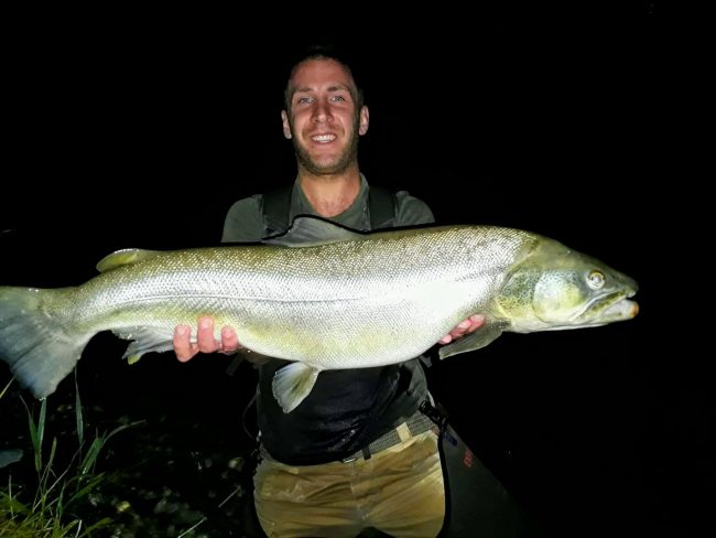 Trota record pescata nell’Adda VIDEO