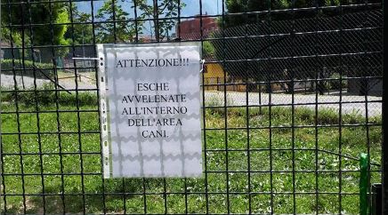 AIDAA: 17.000 cani e gatti avvelenati da inizio anno