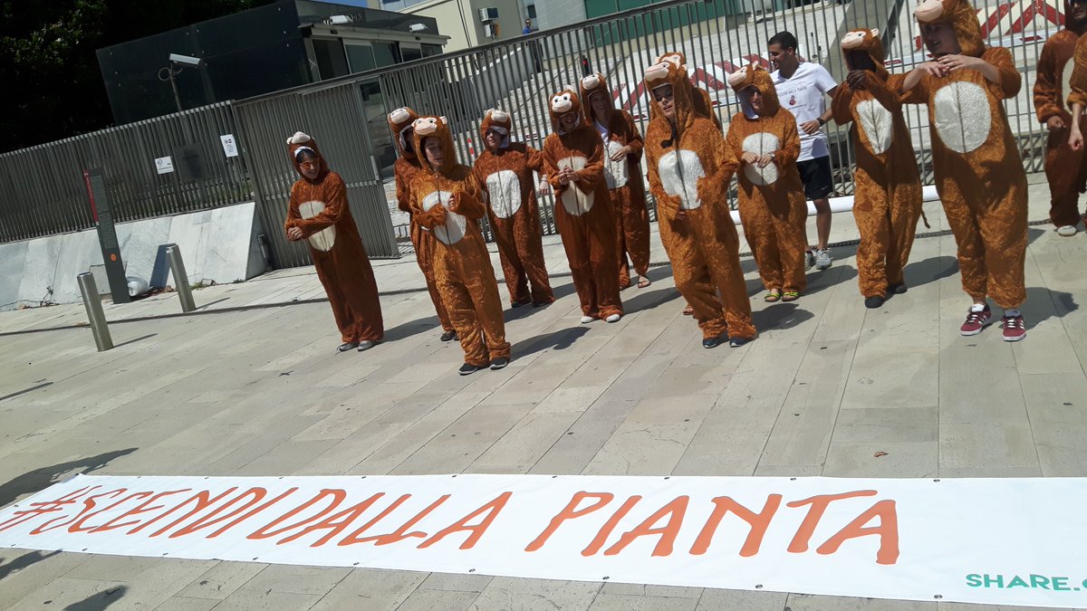 Flashmob