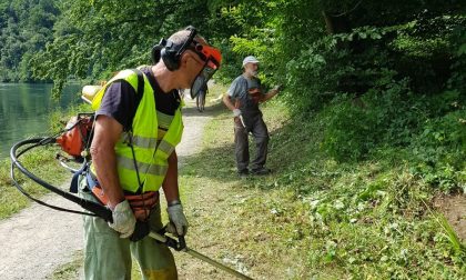 Volontari ecologici al lavoro lungo l'Adda a Imbersago - FOTO