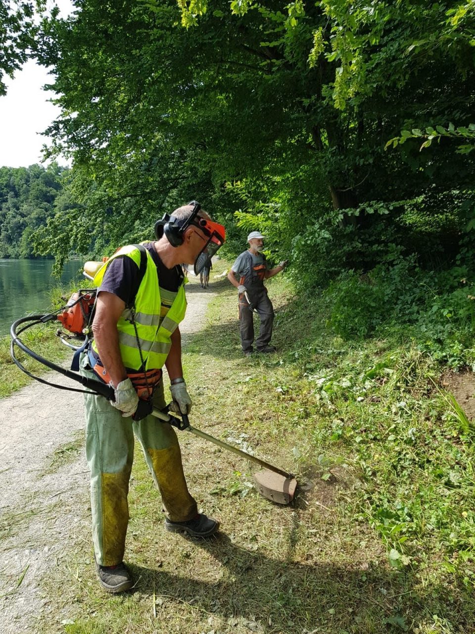 Volontari ecologici al lavoro lungo l’Adda a Imbersago – FOTO