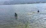 I sub tagliano le alghe nel lago a Pescate