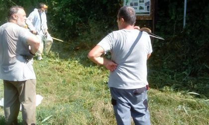 Volontari all'opera per il «Verde pulito»