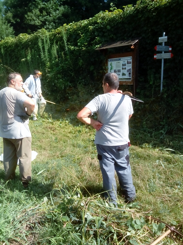 Volontari all’opera per il «Verde pulito»