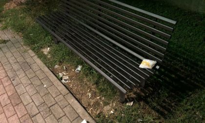 Pannolini sporchi e degrado al parco FOTO