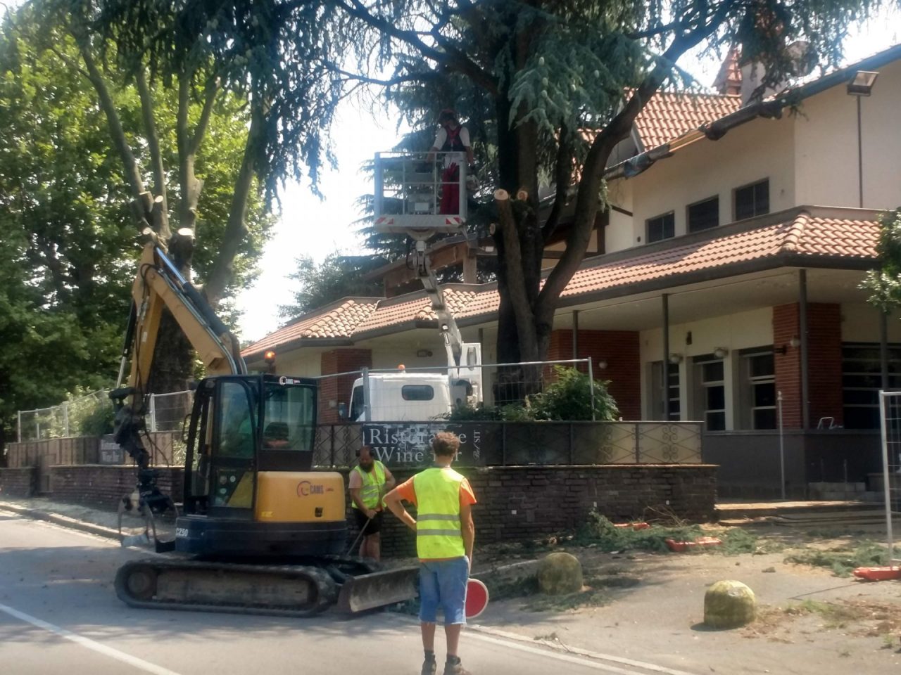 Alberi secolari abbattuti al Bel Sit – FOTO e VIDEO
