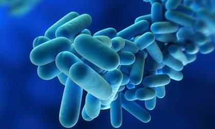 Rispunta la legionella, questa volta nel Milanese