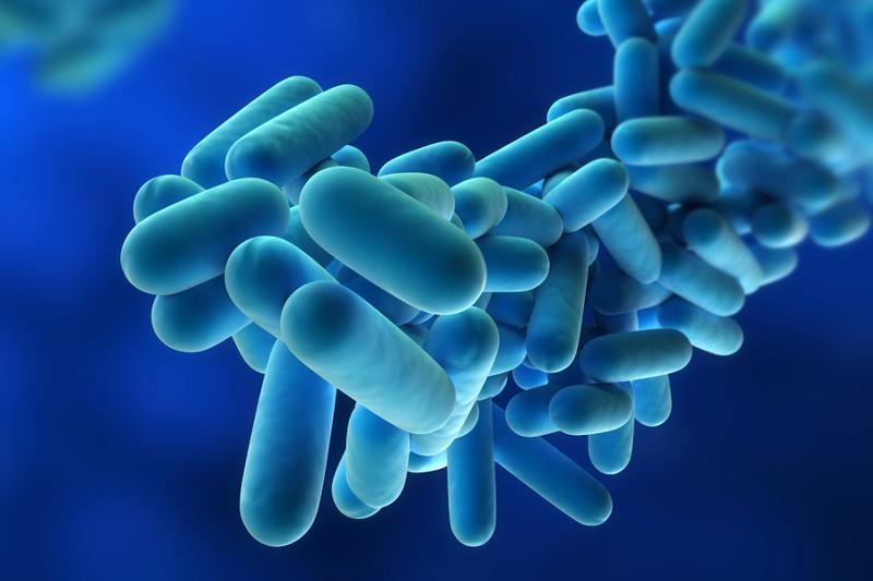 Rispunta la legionella, questa volta nel Milanese