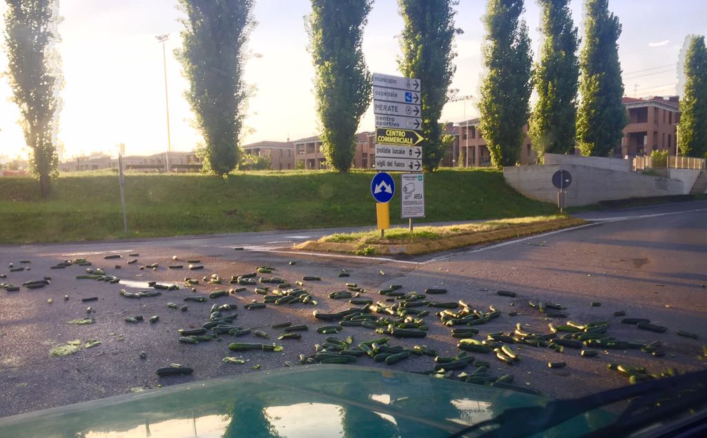 Pioggia di zucchine ieri sera a Merate