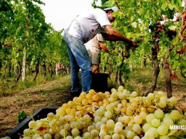 Voucher lavoro: ritornano dopo 10 anni dal loro ingresso in Italia