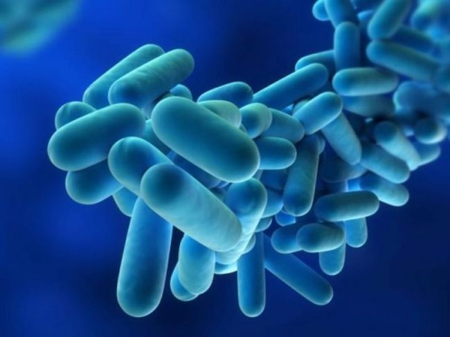 Anziano meratese morto per legionella: nessun collegamento con Brescia
