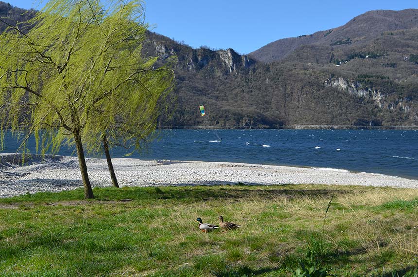 Dove trascorreranno le persone il Ferragosto? Le mete lariane sono gettonatissime