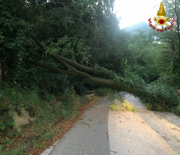 Vigili del fuoco in azione a causa del maltempo