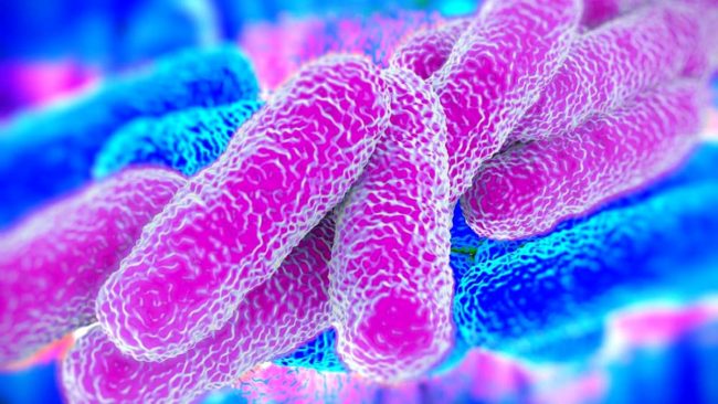 Allarme legionella anche nel Bresciano: altri due casi dopo quello di ieri