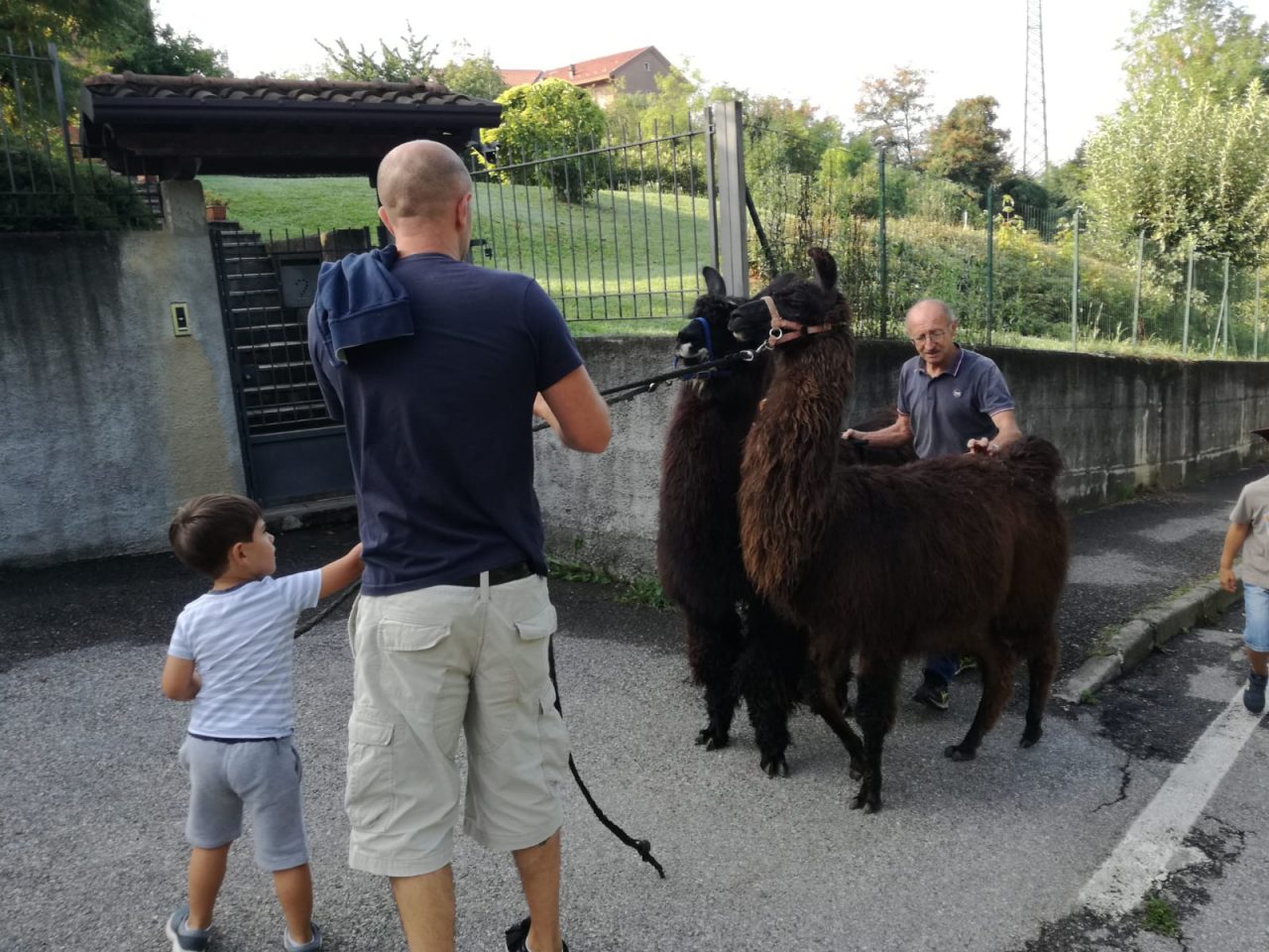 Strapagnano: tra i 3200 podisti anche i… lama