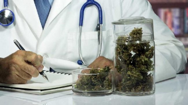Cannabis terapeutica, la Regione vuole produrla nelle serre lombarde