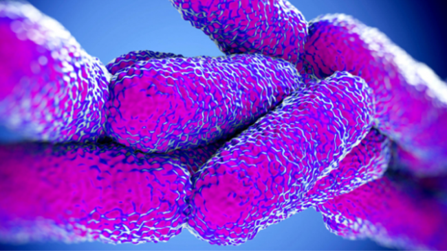 Legionella a Bresso, i morti salgono a cinque