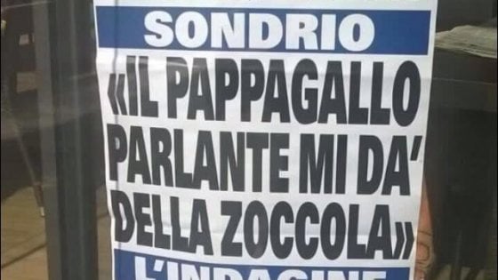Il pappagallo dà della zoccola… e la locandina diventa virale