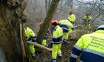 Protezione civile, assessore Foroni: 500mila euro per enti e organizzazioni di volontariato