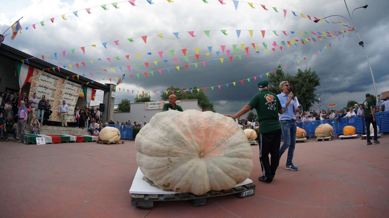 A Lecco la sfida per il record italiano della zucca più grossa