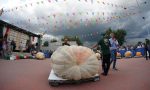 A Lecco la sfida per il record italiano della zucca più grossa