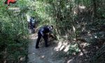 Bosco della droga: nuovo blitz dei Carabinieri coi cani