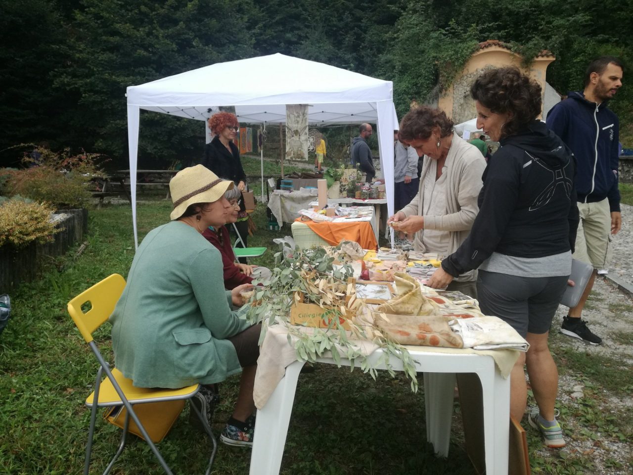 In arrivo al Parco Monte Barro l’Università delle Erbe FOTO