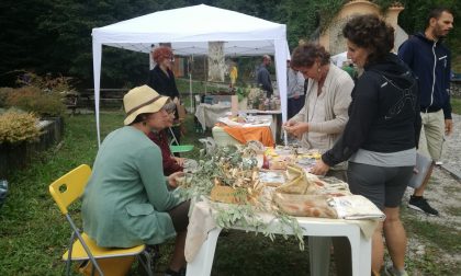 In arrivo al Parco Monte Barro l’Università delle Erbe FOTO