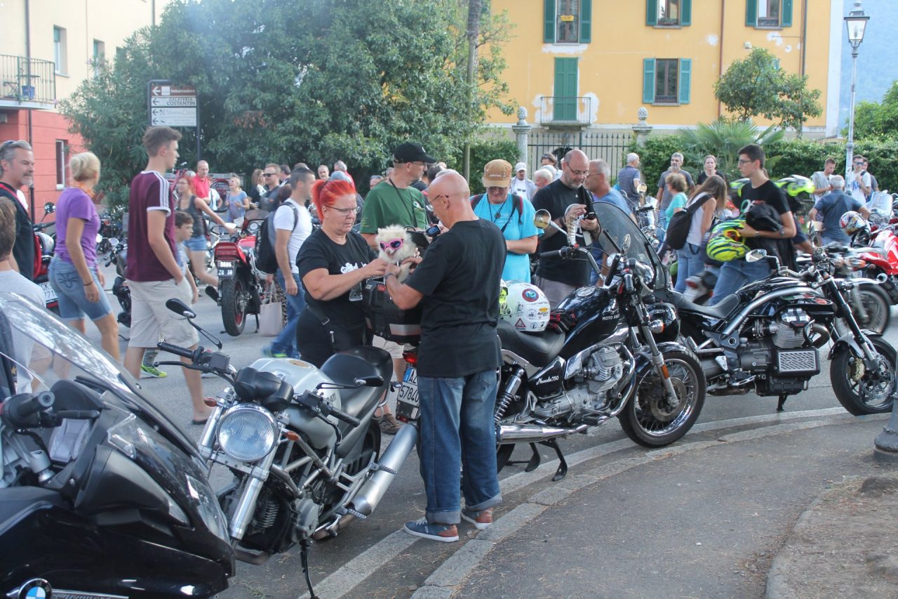 guzzi
