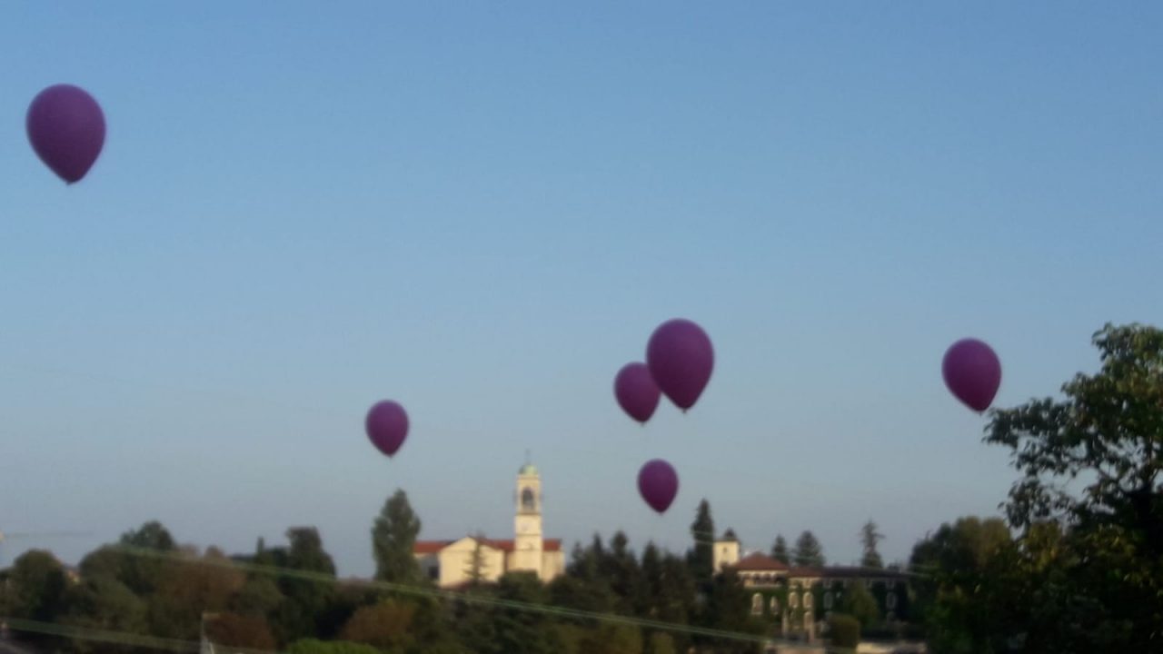 In tantissimi alla prima edizione della notte rosa di Cernusco FOTO