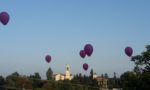 In tantissimi alla prima edizione della notte rosa di Cernusco FOTO